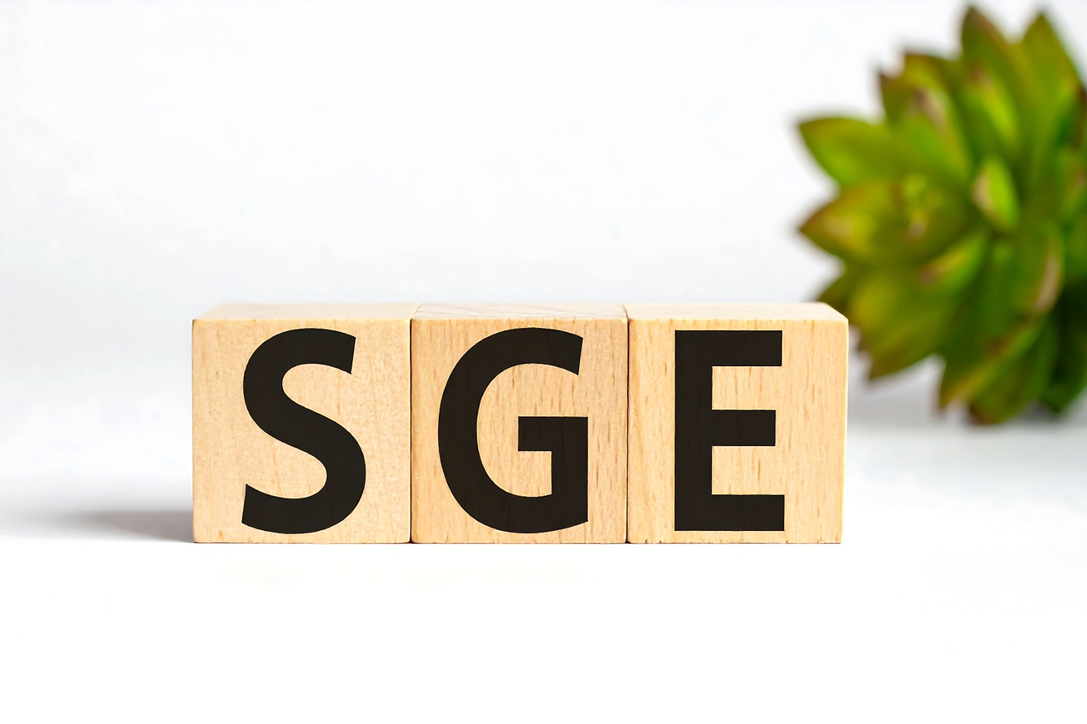 Google SGE und der deutsche Mittelstand: Warum E-E-A-T jetzt über Ihre KI-Sichtbarkeit entscheidet